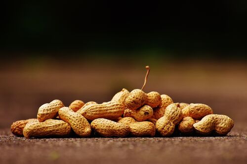 kacang tanah