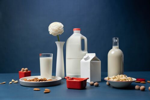 makanan tinggi protein susu