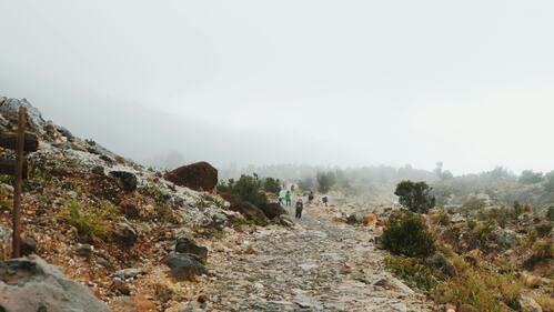 taman wisata Gunung Papandayan