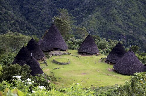 wae rebo